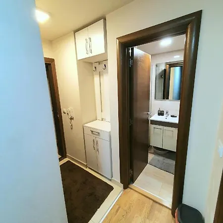 Vila Darija_Apartman 8_Radovic Zlatibor Exterior photo