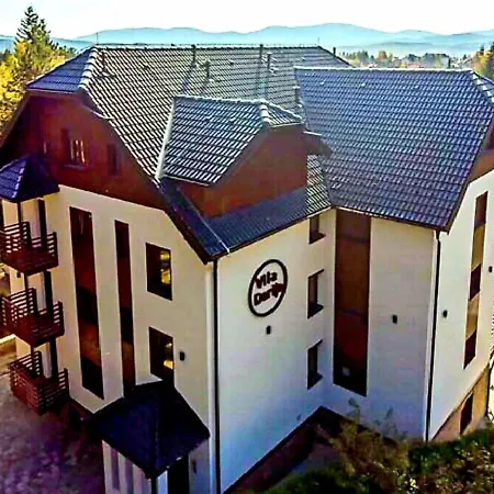 Vila Darija_Apartman 8_Radovic Zlatibor Exterior photo