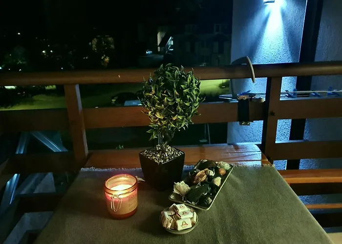 Vila Darija_Apartman 8_Radovic